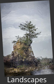 Landscapes
