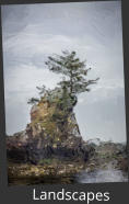 Landscapes