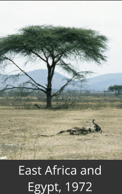 East Africa and  Egypt, 1972