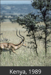 Kenya, 1989