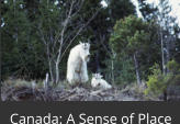 Canada: A Sense of Place